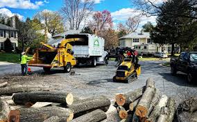 Best Hazardous Tree Removal  in August, CA